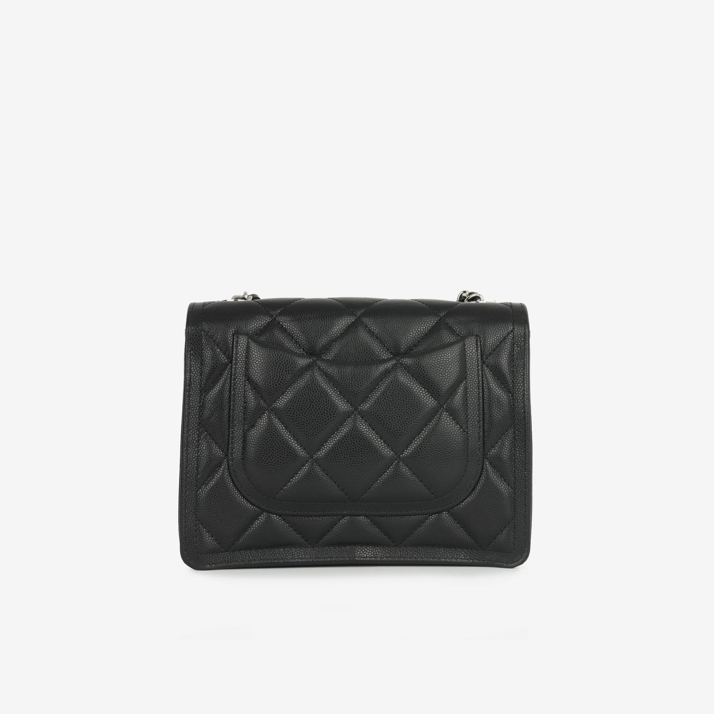 23s Seasonal Mini Flap