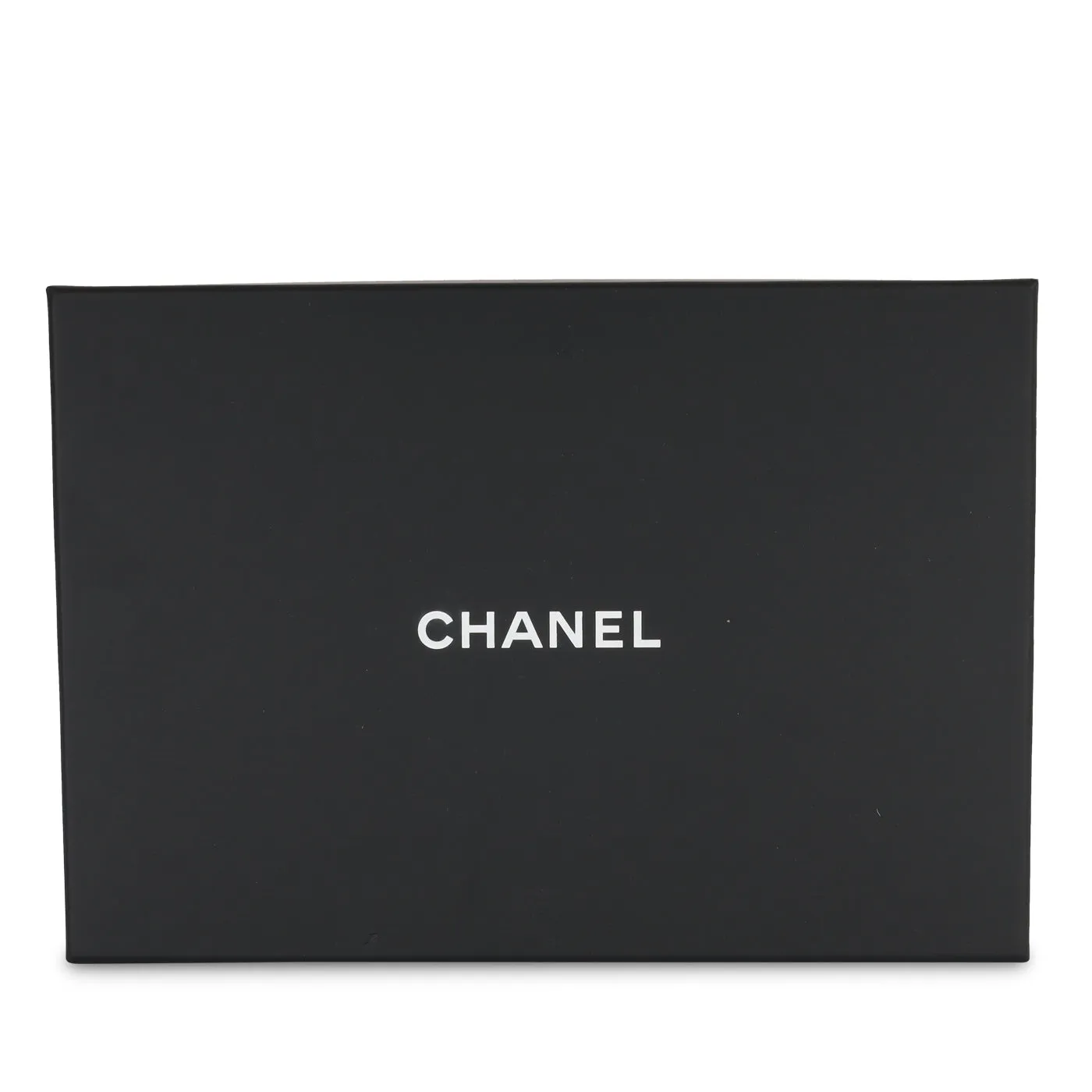 Chanel Top Handle Wallet on Chain